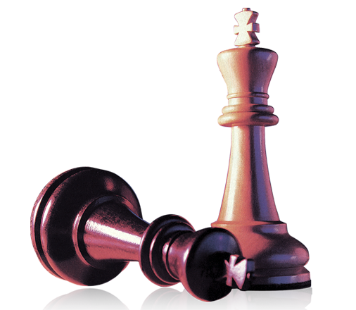 ŷ��������ʱ��������Ӫ��